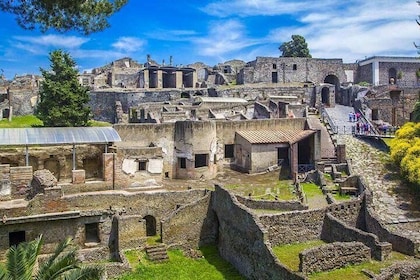 Pompeii & Herculaneum Archaeological Park Tour