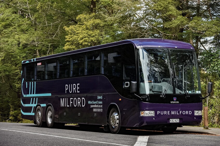 Milford Sound Coach & Cruise Tour