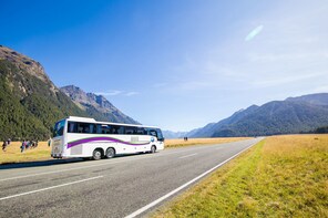 Milford Sound Vista Glass Roof Coach & Cruise Full Day Tour