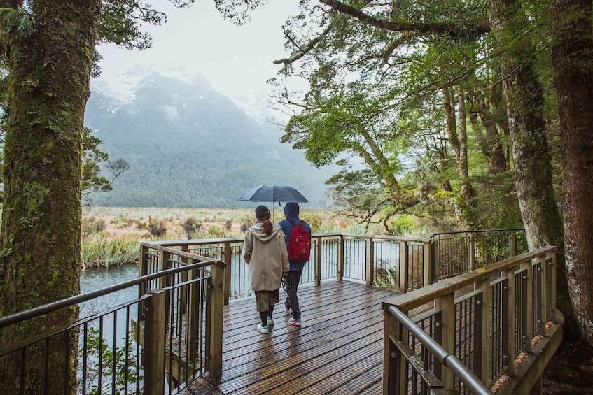 Milford Sound Coach & Cruise Tour from Queenstown / Te Anau