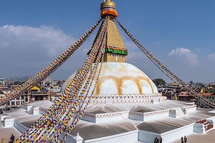 7 Days Kathmandu,Pokhara ,Chitwan and Lumbini Tour