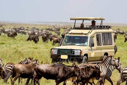 12-Day Best Kenya and Tanzania Budget Safari from Nairobi