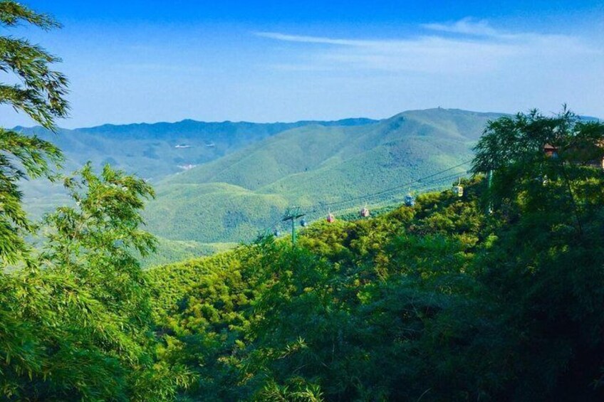 Yixing Bamboo Forest Private Day Tour from Wuxi with Lunch