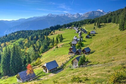 Pokljuka Mountain Biking