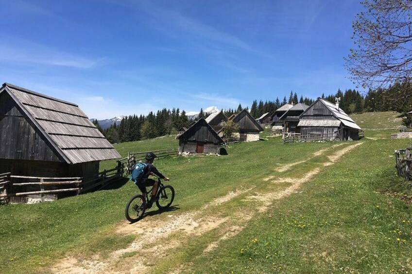 Pokljuka Mountain Biking