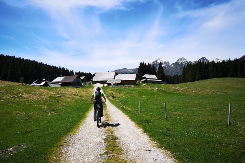 Pokljuka Mountain Biking