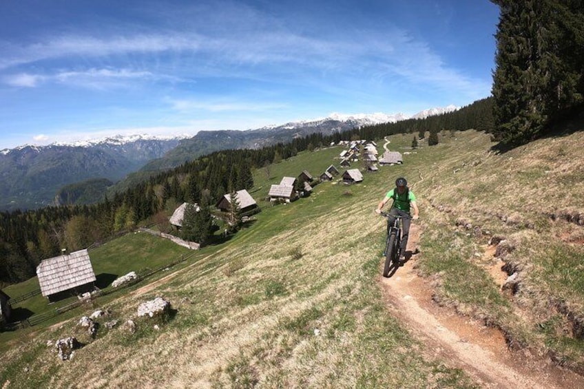 Pokljuka Mountain Biking