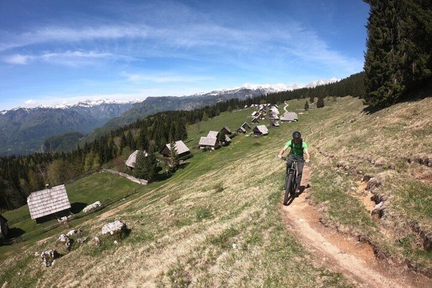 Pokljuka Mountain Biking