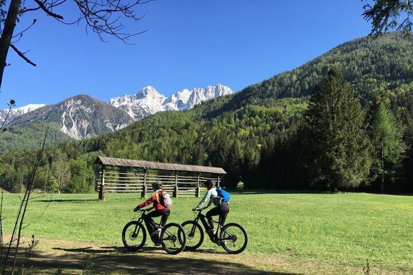 Zelenci Bike Tour