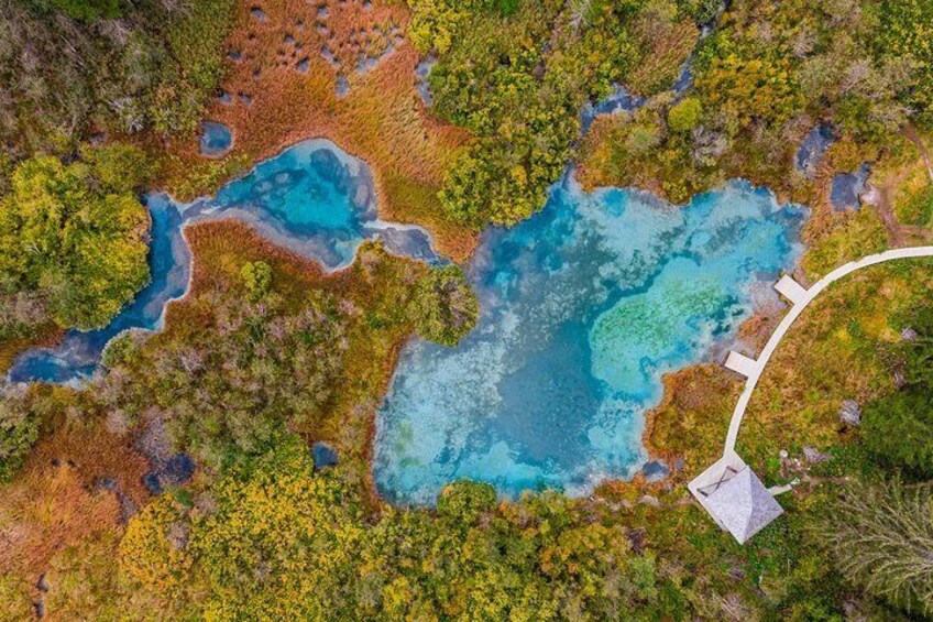 Zelenci Bike Tour