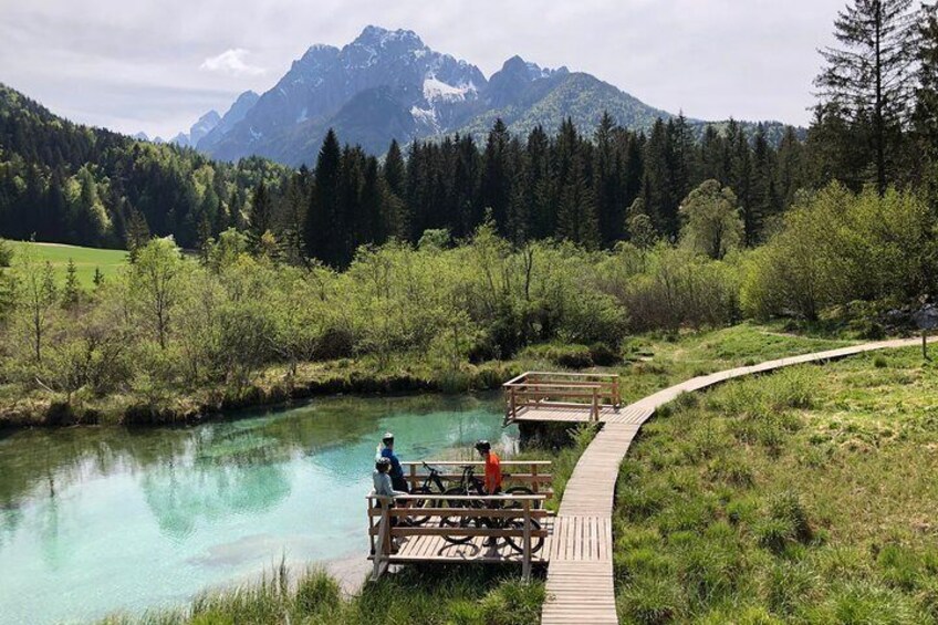 Zelenci Bike Tour