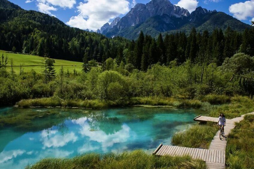 Zelenci Bike Tour