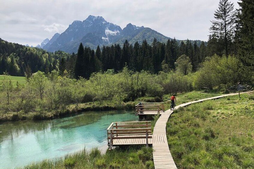 Zelenci Bike Tour