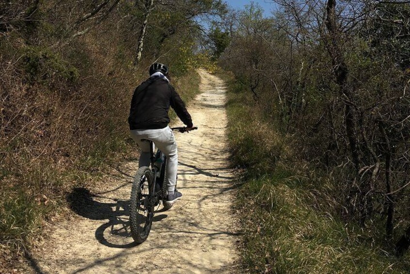 Cycling the Slovenian Coast