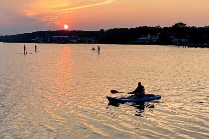 Evening Paddleboard Excursion on Rehoboth Bay