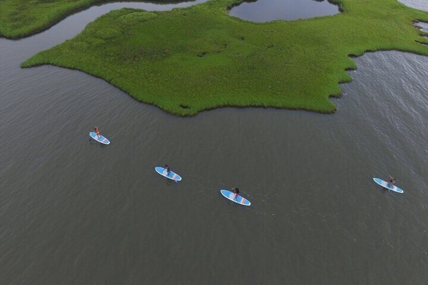 Paddle along salt marsh areas of the Rehoboth Bay