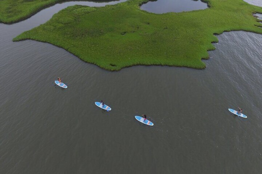 Paddle along salt marsh areas of the Rehoboth Bay