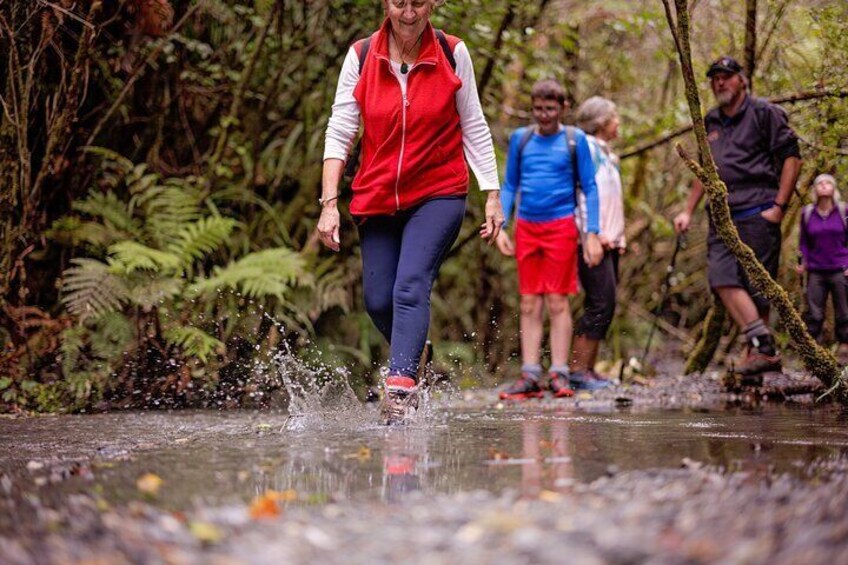 Franz Josef Nature Tour