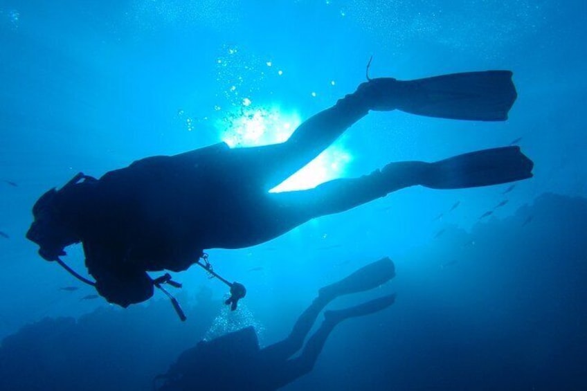 Open Water Diver course + underwater photo shooting