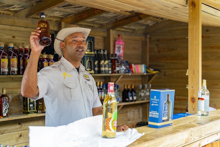 Dominican Farm Experience With Horseback Ride, Beach & Lunch