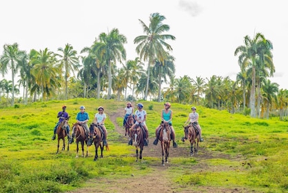 Dominican Farm Experience With Horseback Ride, Beach & Lunch