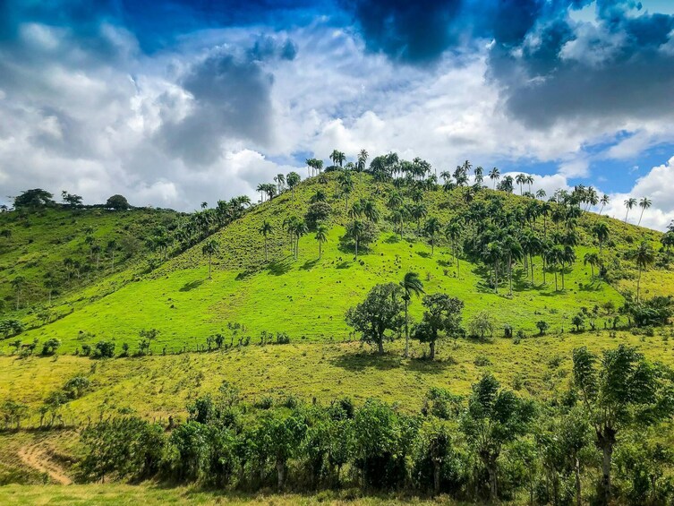 Dominican Half Day Countryside Tour