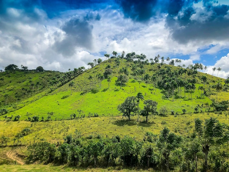 Dominican Half Day Countryside Tour
