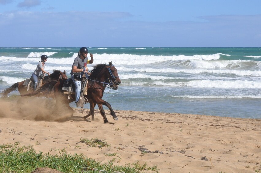 Horseback Riding Experience