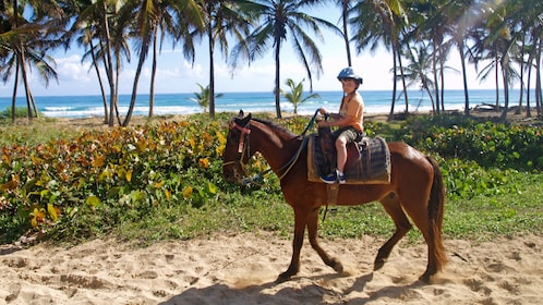 Pengalaman Menunggang Kuda ke Sungai Maimon dari Punta Cana