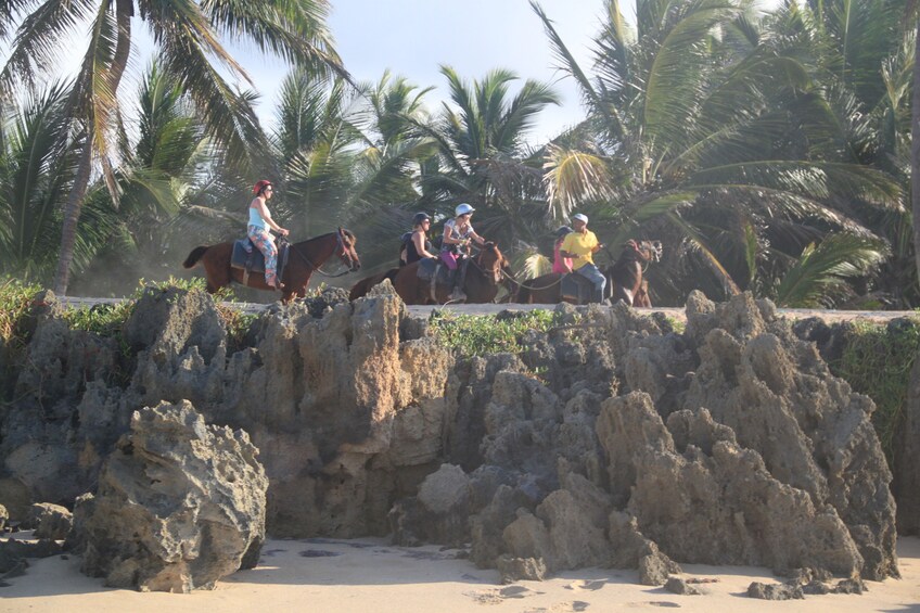 Horseback Riding Experience