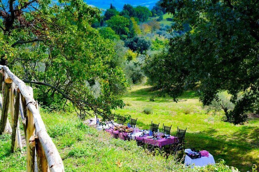 Lunch among the olive trees