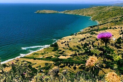 2-Day Private Tour from Athens to Andros Island