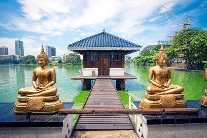 Tour privato della città di mezza giornata a Colombo