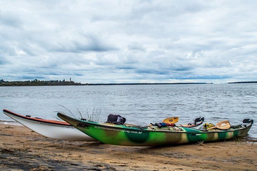 In a rich and diverse environment, in natural settings that enhance the need to explore.