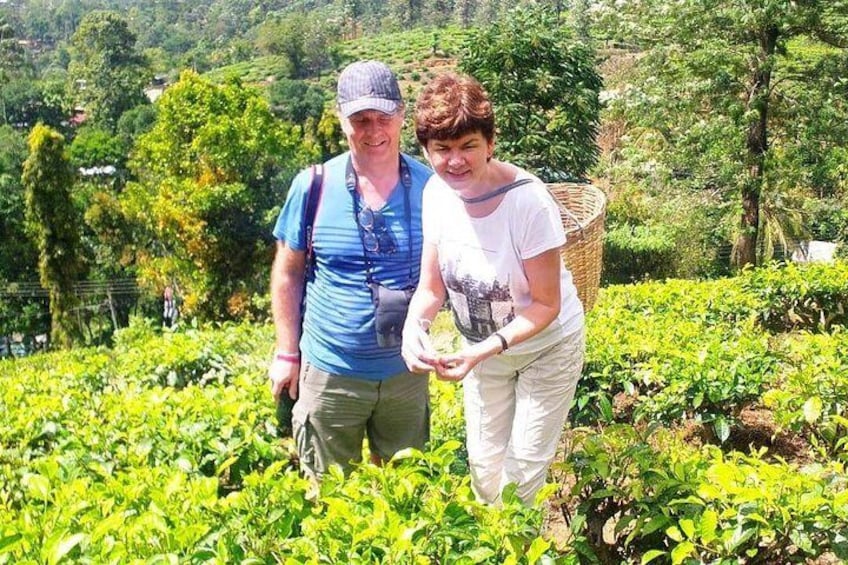 During the visit to the tea estate and factory