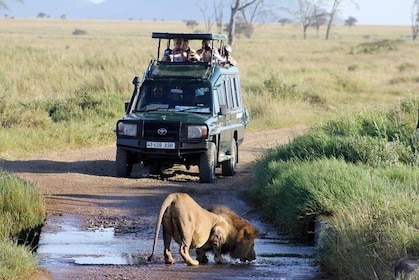 3-Day Masai Mara Luxury Private Safari on 4x4 Land Cruiser