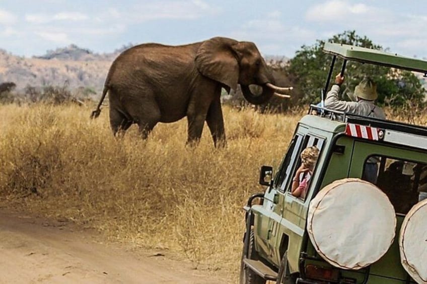 14 Days Private Safari in Kenya and Tanzania from Nairobi