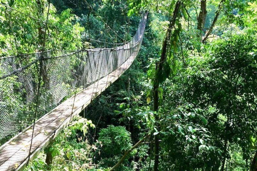 Rainmaker Waterfalls and Hanging Bridges from Manuel Antonio
