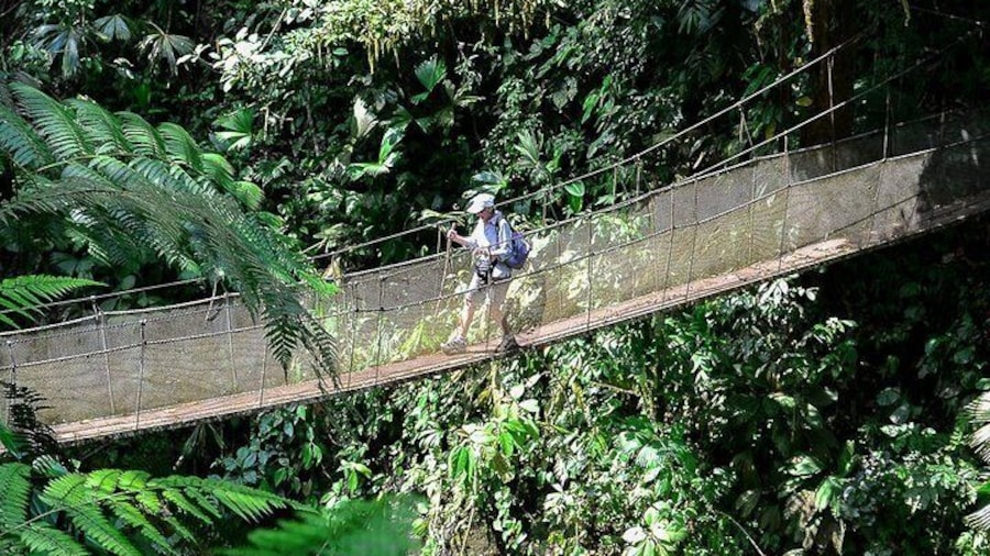 Rainmaker Waterfalls and Hanging Bridges from Manuel Antonio