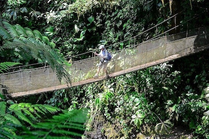Rainmaker Waterfalls and Hanging Bridges from Manuel Antonio