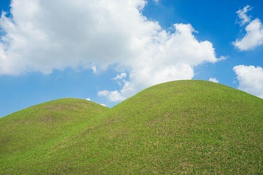 Tumuil park
