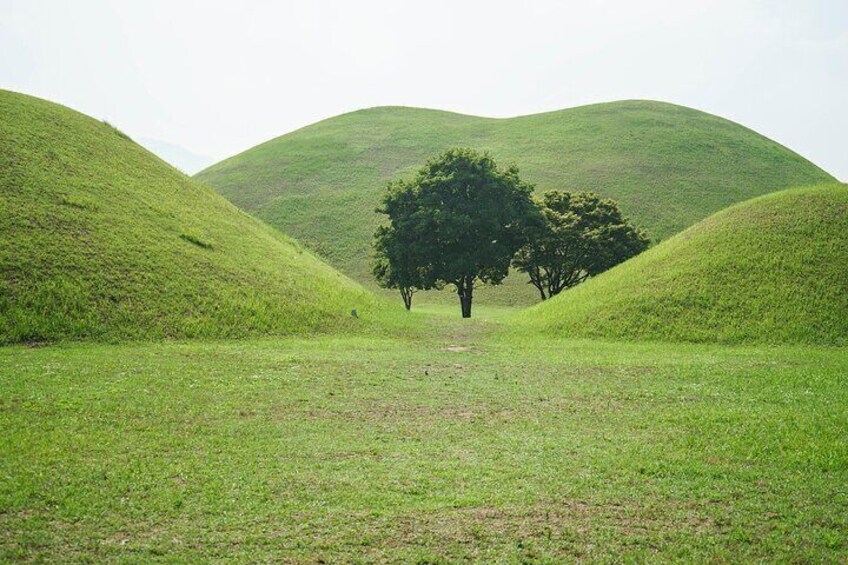 Gyeongju Private Tour with hidden gem by local tour guide