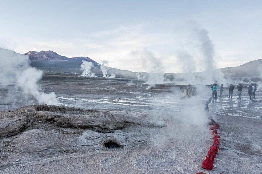 Full day Geyser del Tatio + Cejar Lagoon