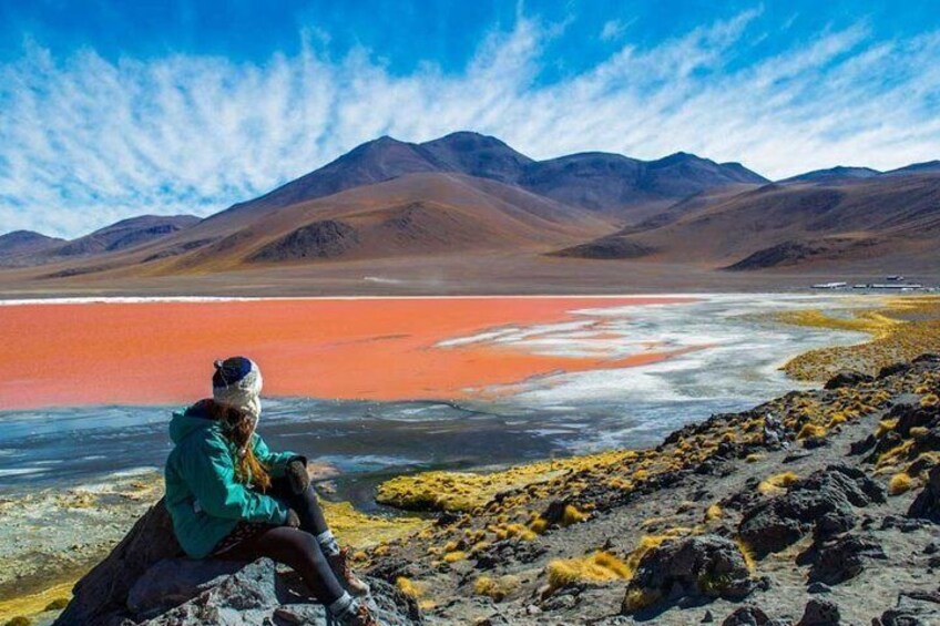 Full day Geyser del Tatio + Cejar Lagoon