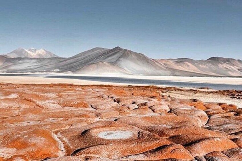 Full day Geyser del Tatio + Cejar Lagoon