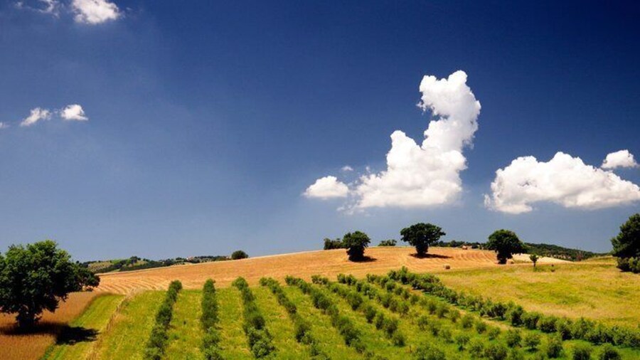 The Maremma in its splendor