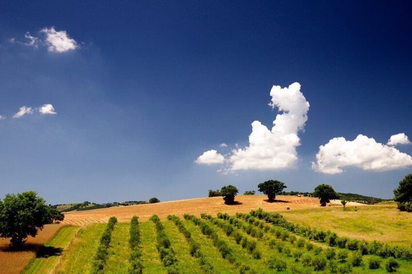 The Maremma in its splendor