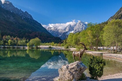 Kranjska Gora Mountain Biking