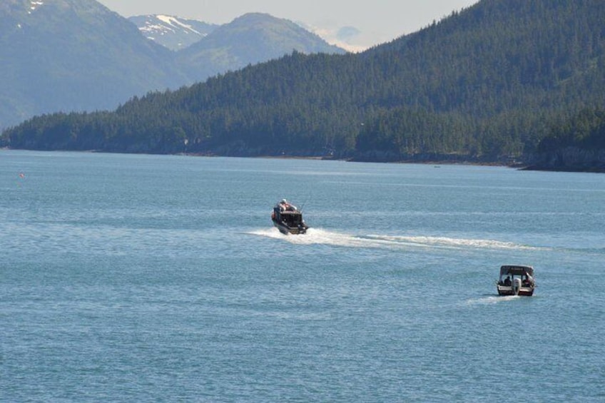 Whittier Wildlife & Wilderness Photo Tour from Anchorage