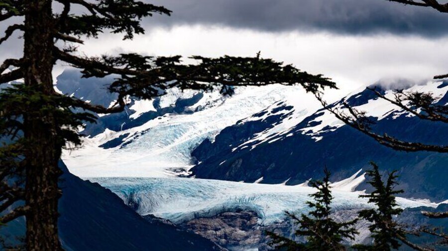 Whittier Wildlife & Wilderness Photo Tour from Anchorage